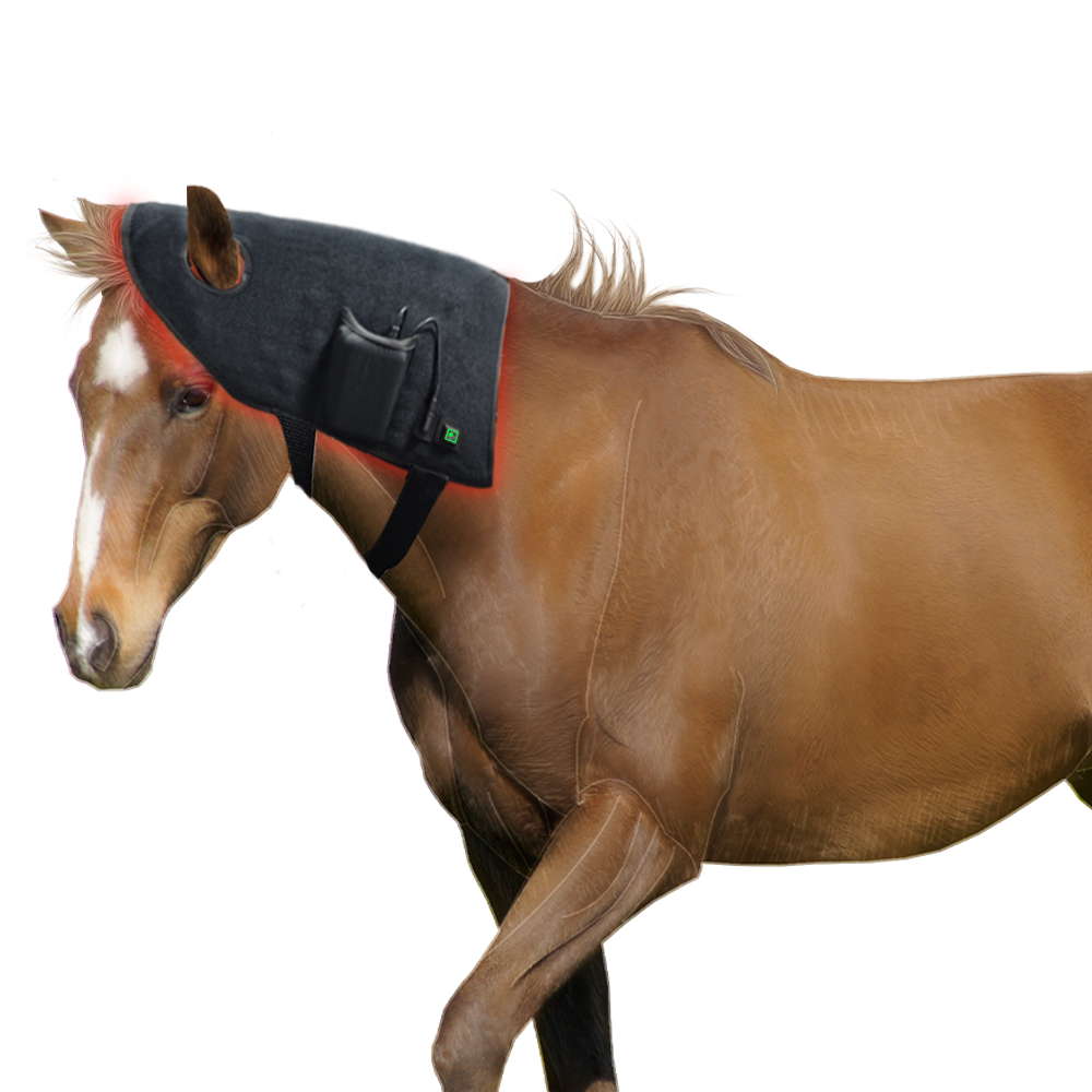 Nieuwe producten voor paarden: - Woodworking Therapy recensie en prijs