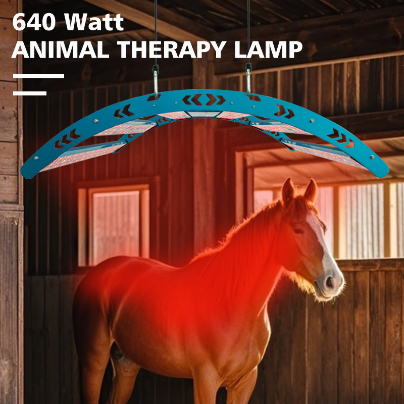 640W 516 LED's 30 °   630/660+ - Woodworking Therapy recensie en prijs