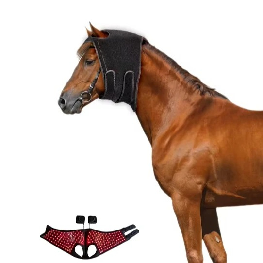 Rode Licht Hoofdtherapie Instr - Woodworking Therapy recensie en prijs